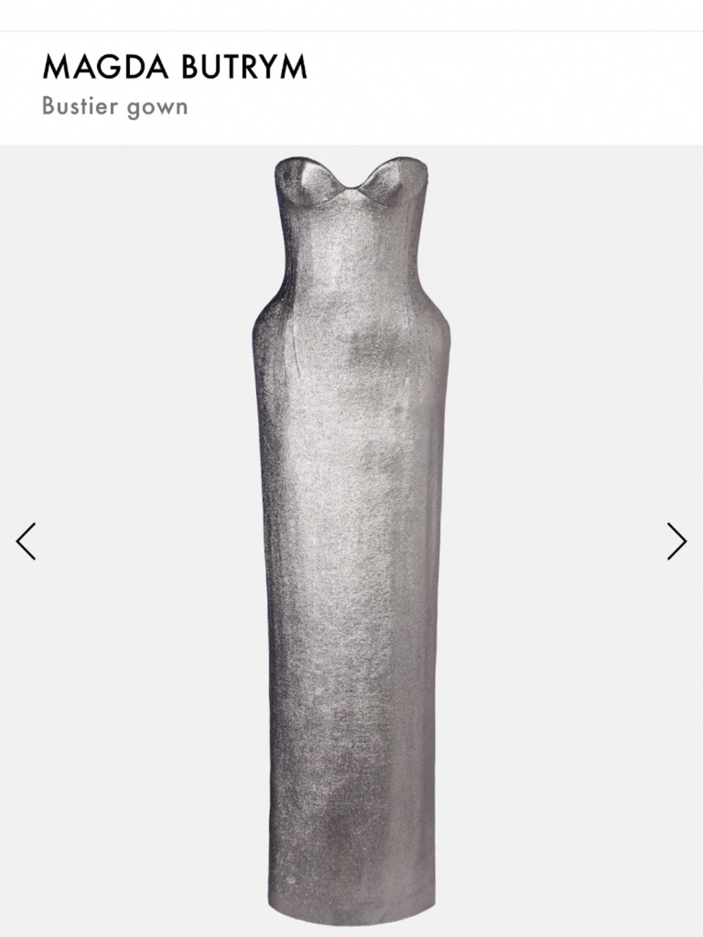 Magda Butrym Metallic Silver Strapless Bustier Maxi Dress